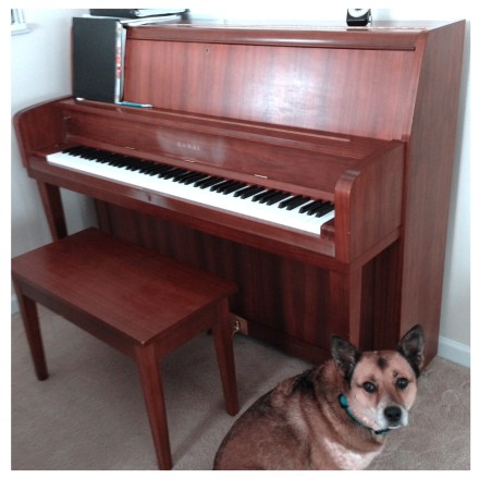 piano and Charlie